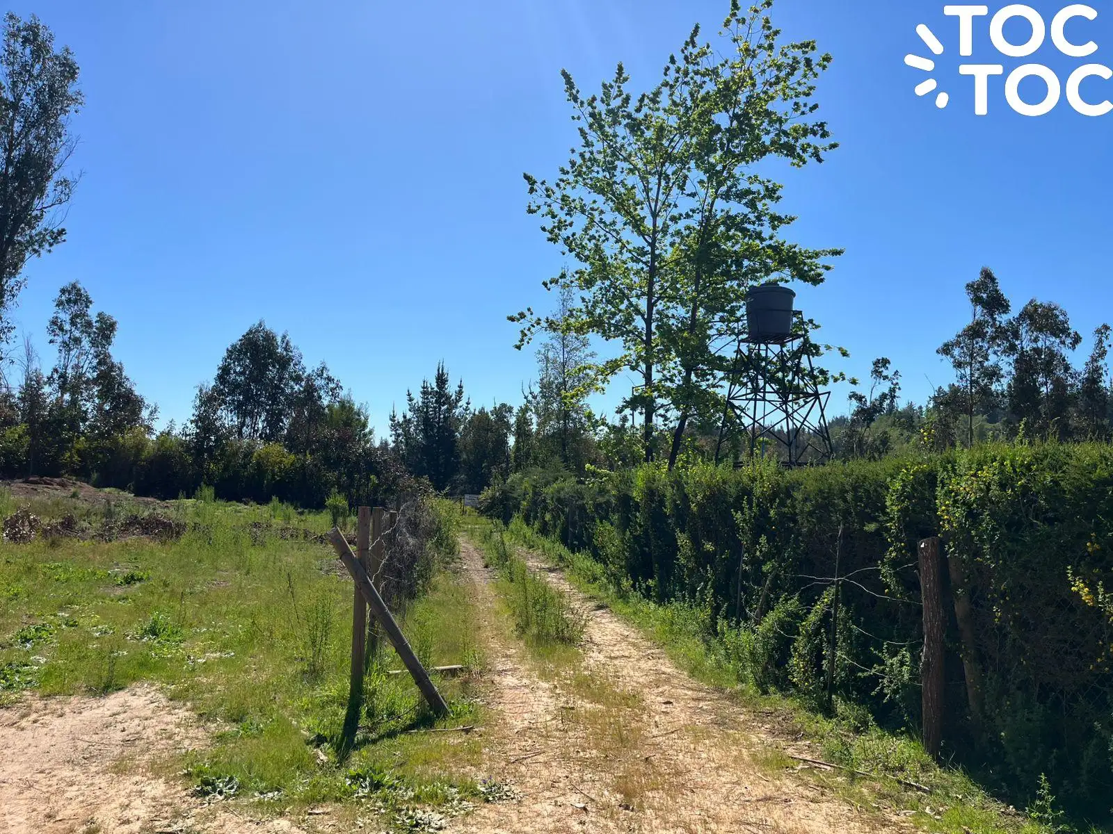 Campo en venta en Coelemu — foto 10