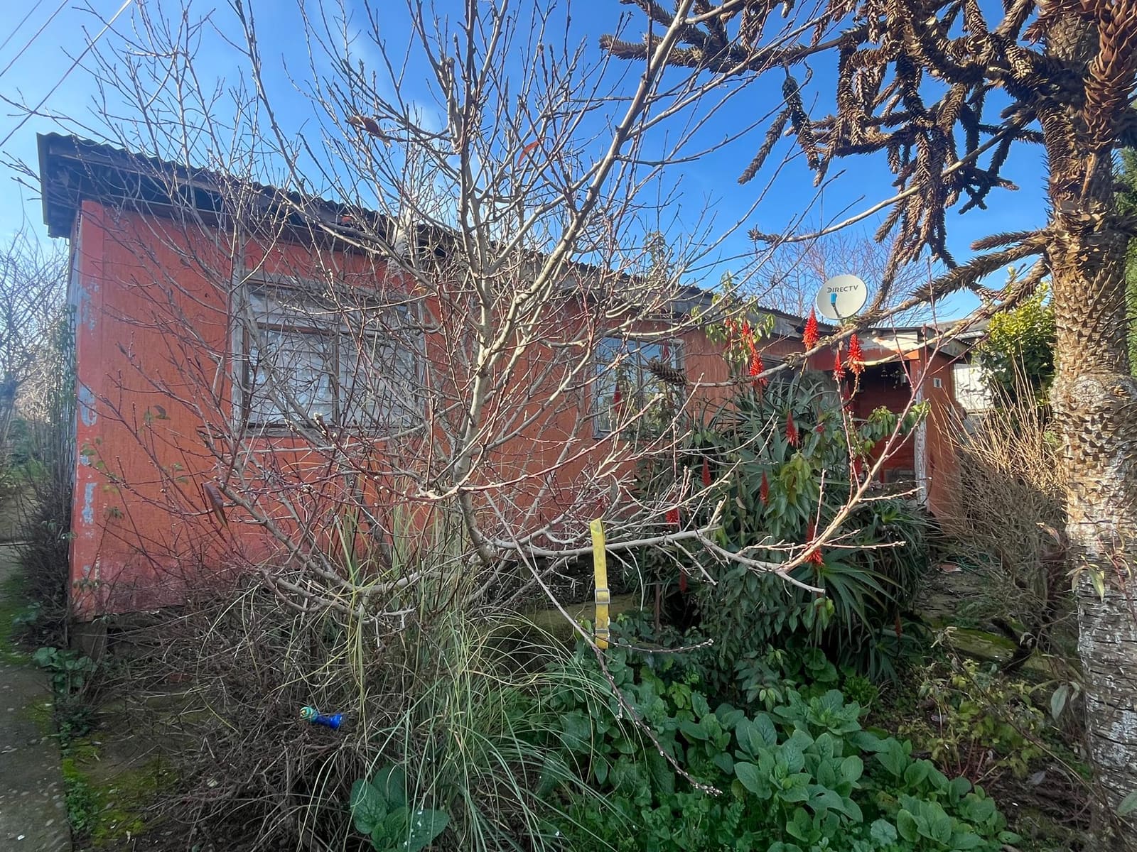Casa en venta en Tomé — foto 3