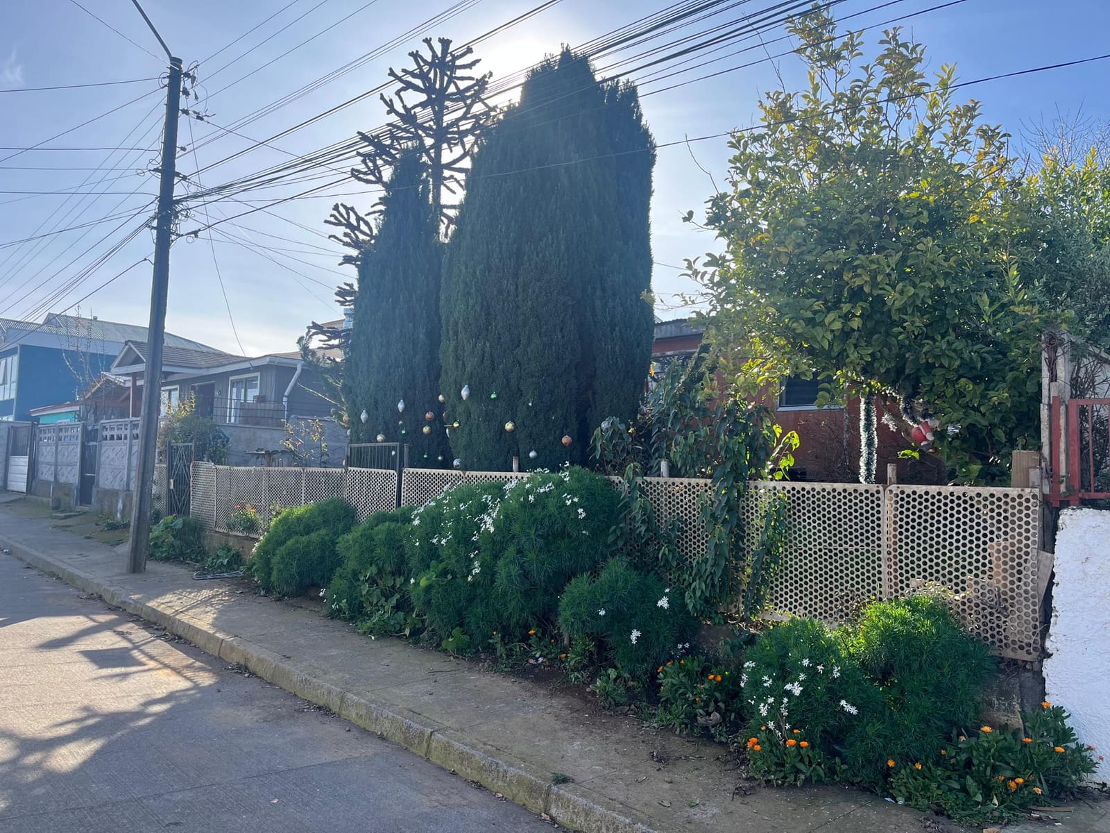 Casa en venta en Tomé — foto 5