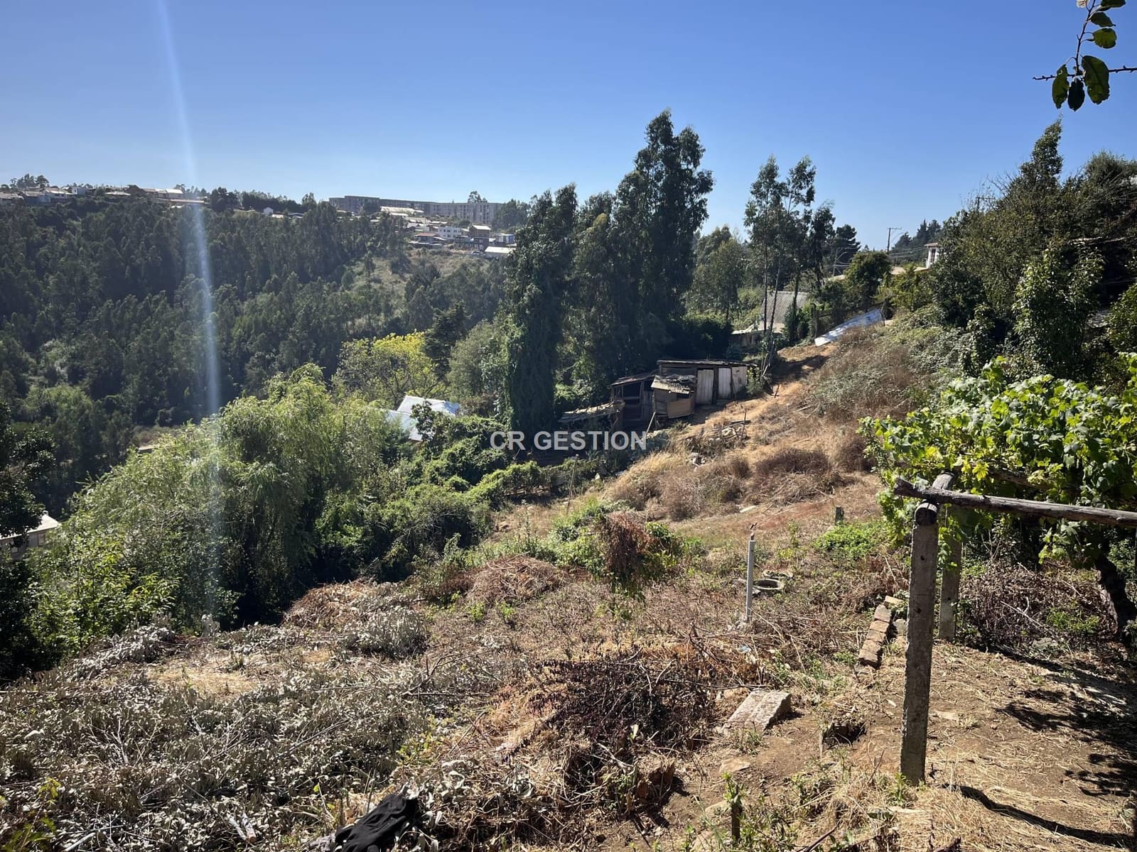 Casa en venta en Tomé — foto 4