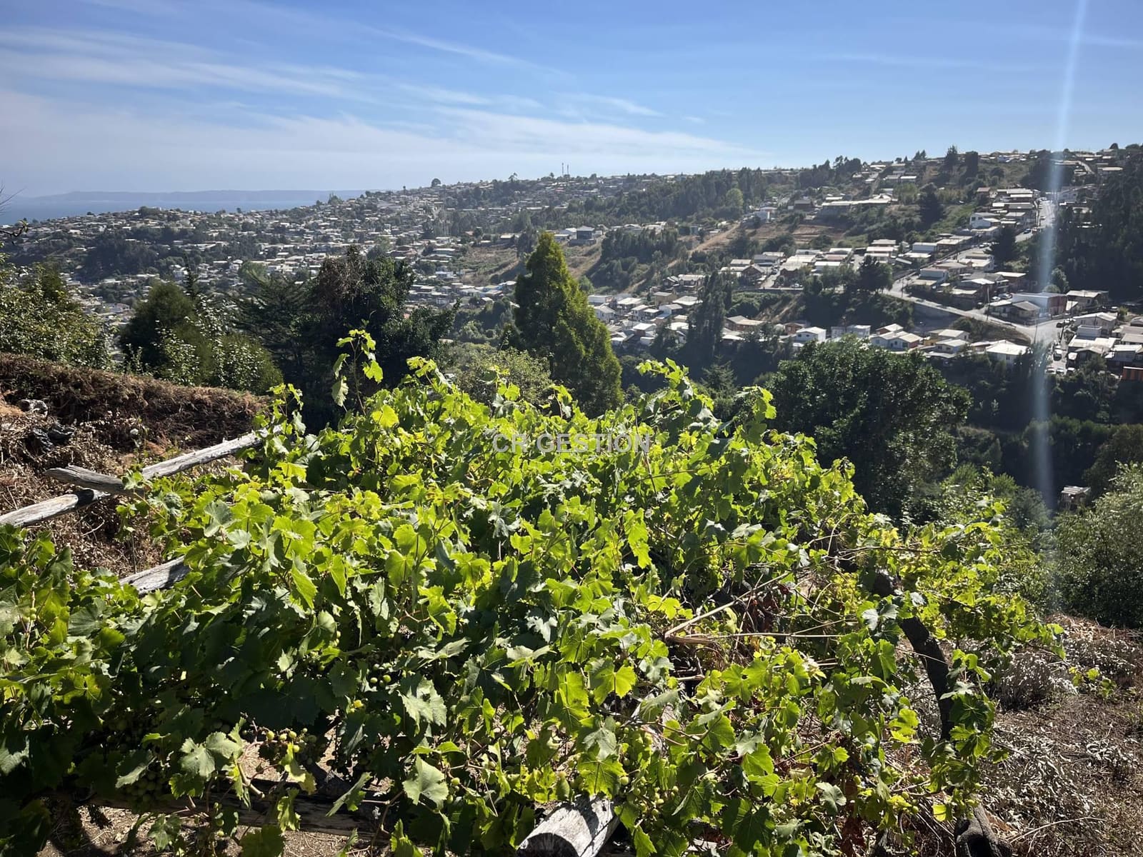 Casa en venta en Tomé — foto 8