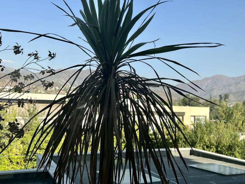 Casa en venta en Lo Barnechea — foto 3