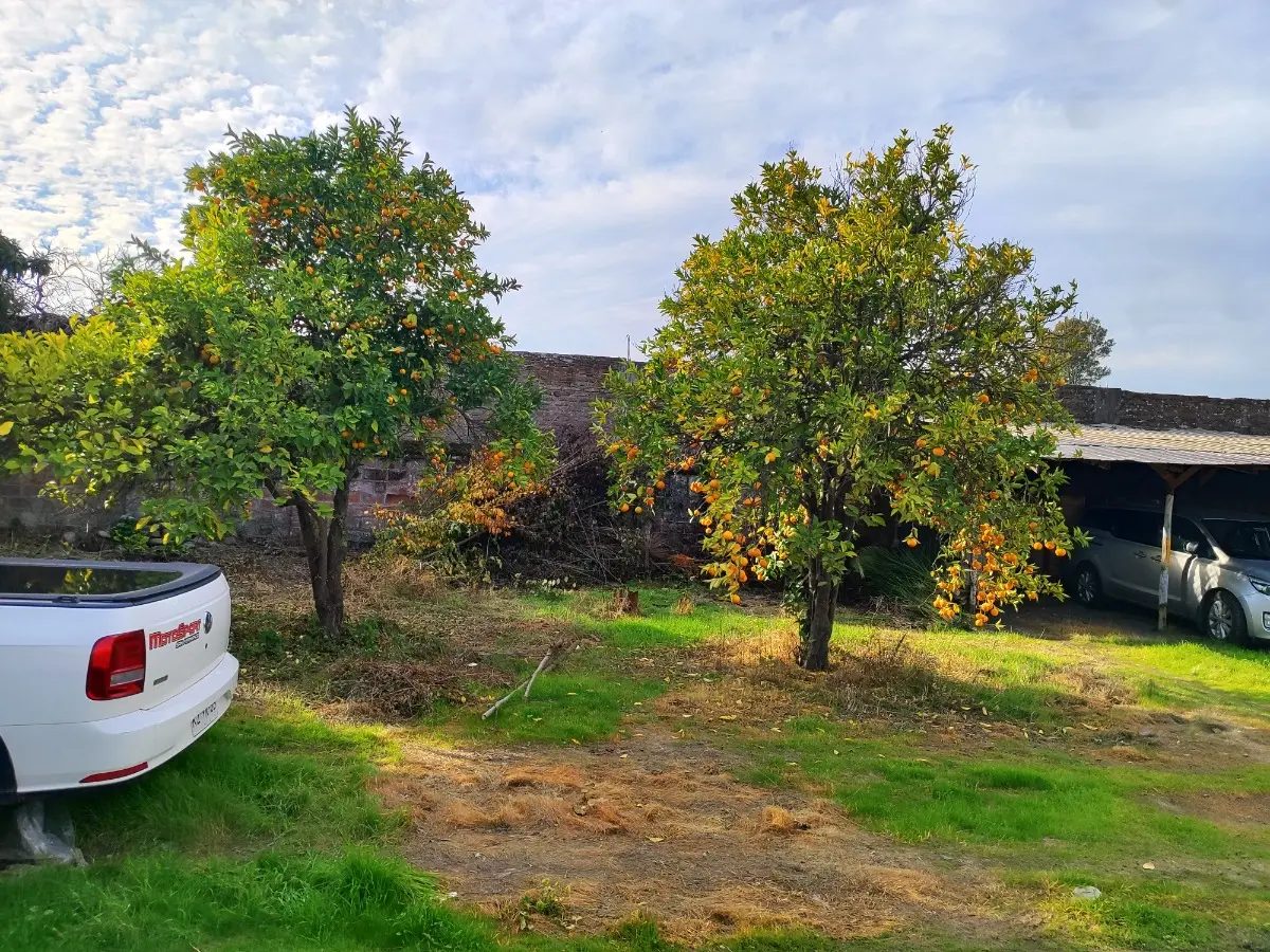 Terreno en venta en San Fernando — foto 9