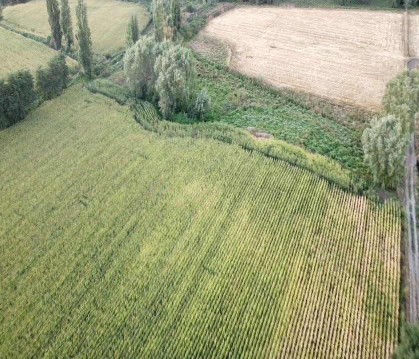 Parcela en venta en San Ignacio — foto 1
