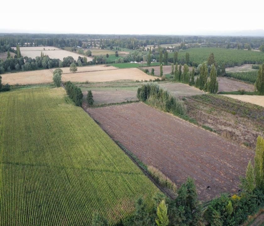 Parcela en venta en San Ignacio — foto 3