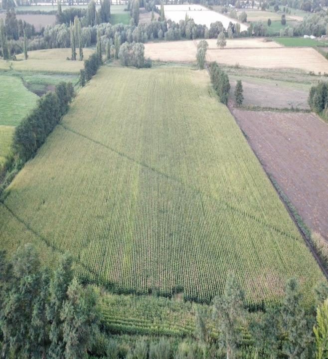 Parcela en venta en San Ignacio — foto 4