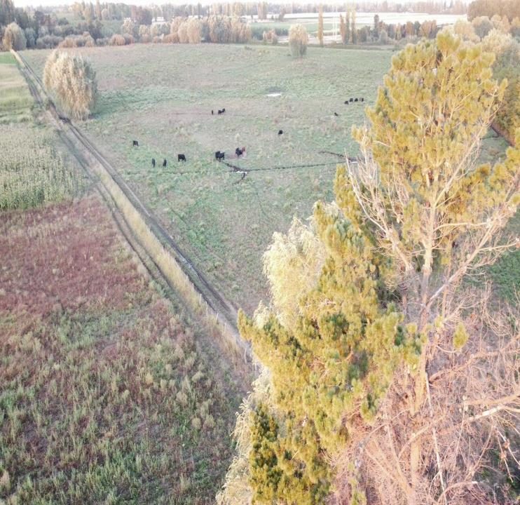 Parcela en venta en San Ignacio — foto 1