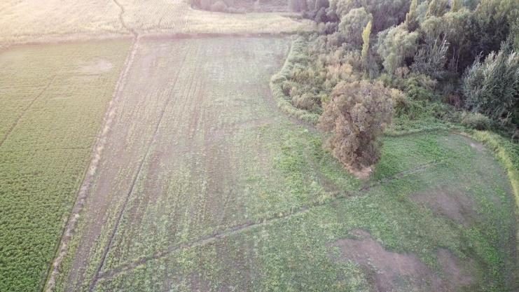 Parcela en venta en San Ignacio — foto 4