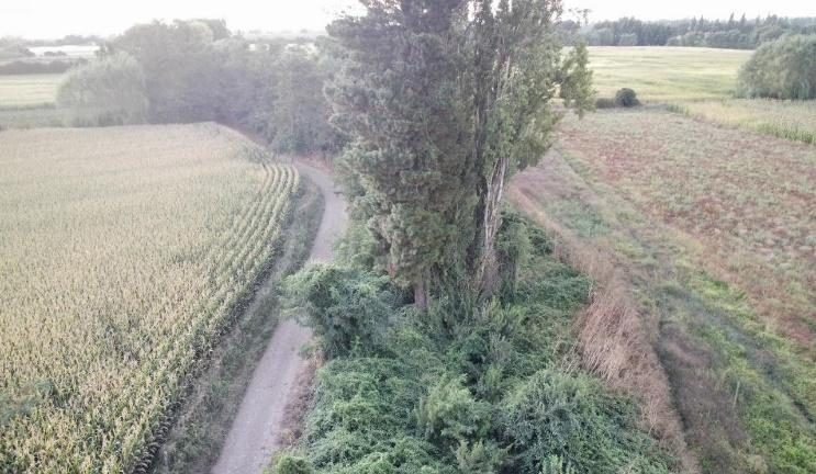 Parcela en venta en San Ignacio — foto 8