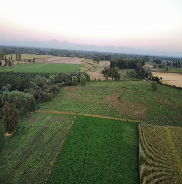 Parcela en venta en San Ignacio — foto 10