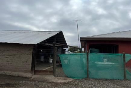 Campo en venta en Ñiquén — foto 1