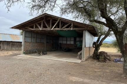 Campo en venta en Ñiquén — foto 3