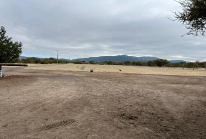 Campo en venta en Ñiquén — foto 4
