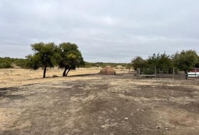 Campo en venta en Ñiquén — foto 5