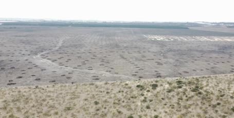 Campo en venta en Ñiquén — foto 7