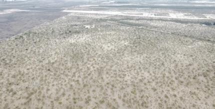 Campo en venta en Ñiquén — foto 8