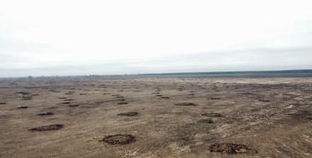 Campo en venta en Ñiquén — foto 9