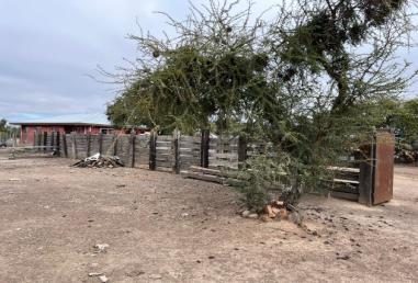 Campo en venta en Ñiquén — foto 10