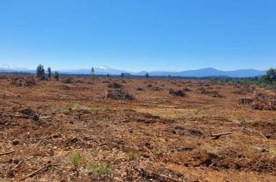 Campo en venta en Parral — foto 5