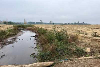 Campo en venta en Parral — foto 6