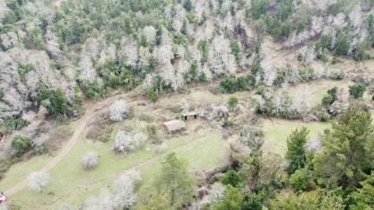Campo en venta en Santa Bárbara — foto 2