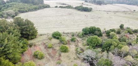 Campo en venta en Santa Bárbara — foto 3