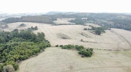 Campo en venta en Santa Bárbara — foto 4