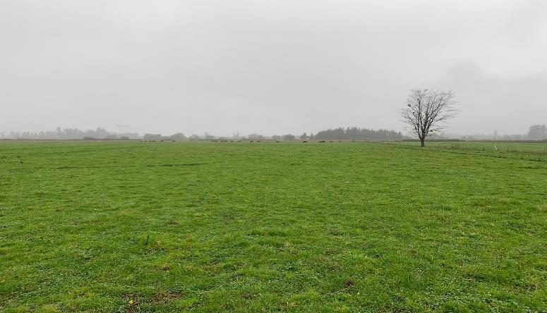 Campo en venta en Ñiquén — foto 1