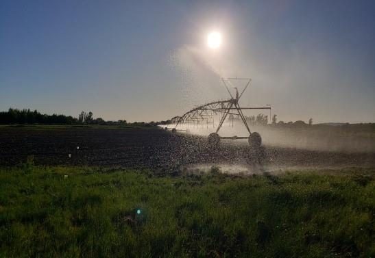 Campo en venta en San Carlos — foto 1