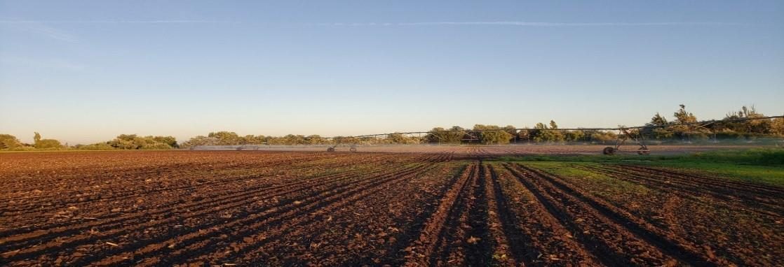 Campo en venta en San Carlos — foto 2