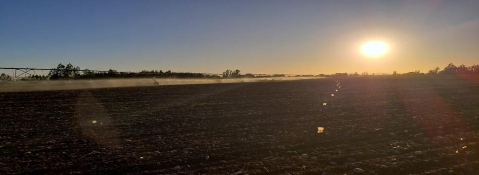 Campo en venta en San Carlos — foto 3