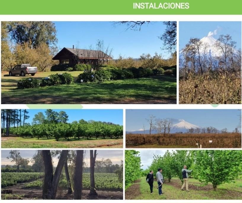 Campo en venta en Villarrica — foto 1