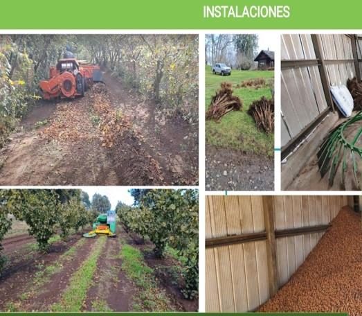 Campo en venta en Villarrica — foto 2