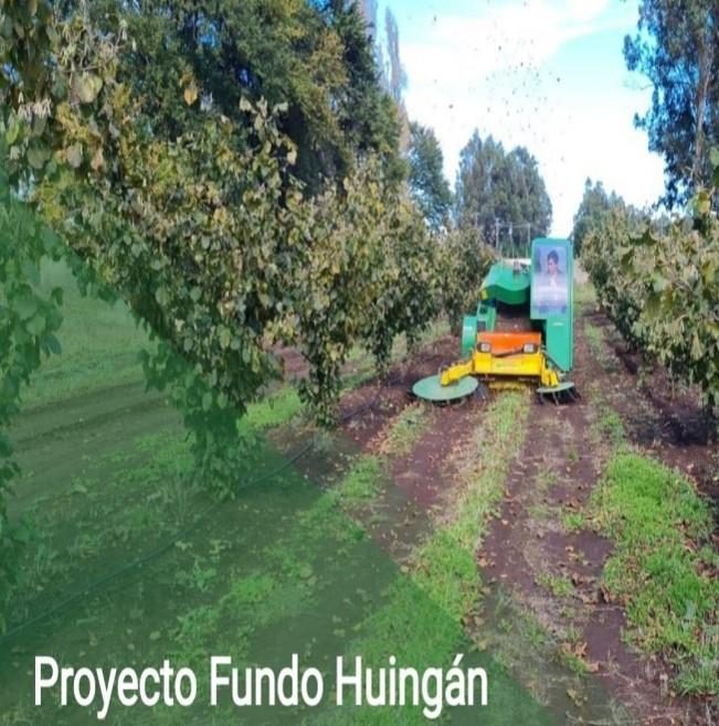 Campo en venta en Villarrica — foto 3