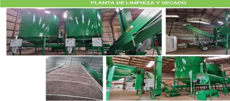 Campo en venta en Villarrica — foto 4