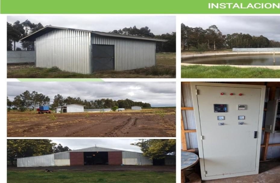 Campo en venta en Traiguén — foto 4