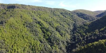 Campo en venta en Yungay — foto 4
