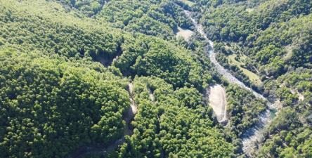 Campo en venta en Yungay — foto 5