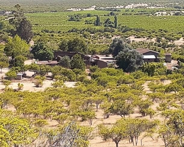 Campo en venta en San Javier — foto 2