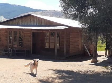 Campo en venta en San Javier — foto 3