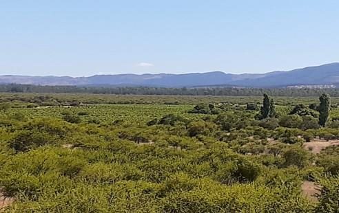 Campo en venta en San Javier — foto 4