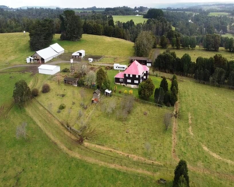 Campo en venta en Los Muermos — foto 1