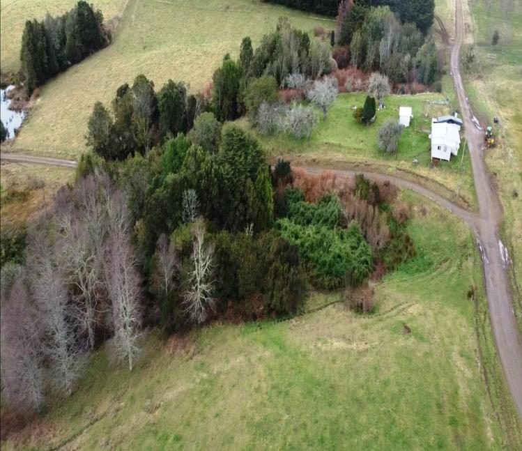 Campo en venta en Los Muermos — foto 3