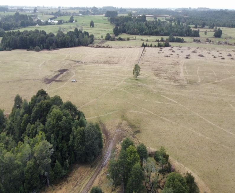 Campo en venta en Los Muermos — foto 6
