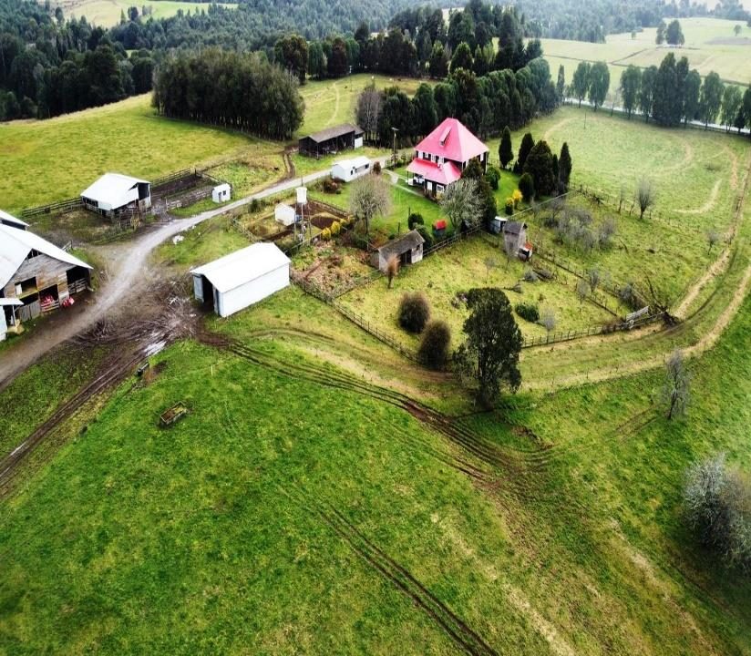 Campo en venta en Los Muermos — foto 8