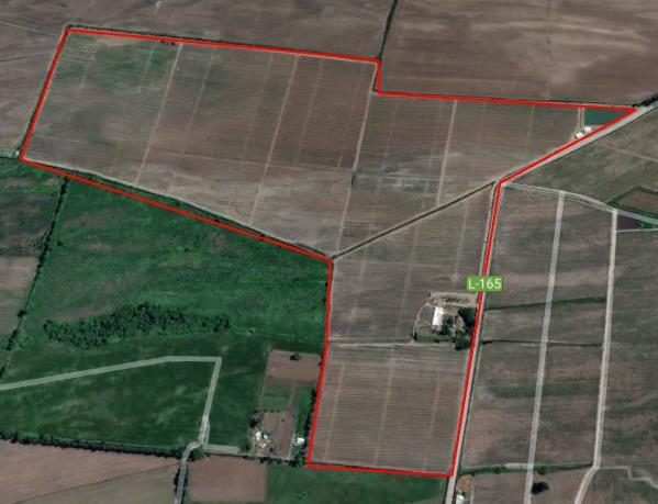 Campo en venta en Villa Alegre — foto 1