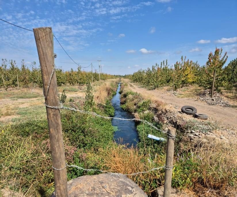 Campo en venta en Villa Alegre — foto 2