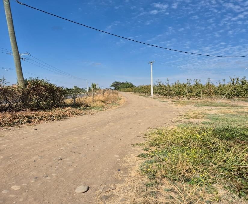 Campo en venta en Villa Alegre — foto 3