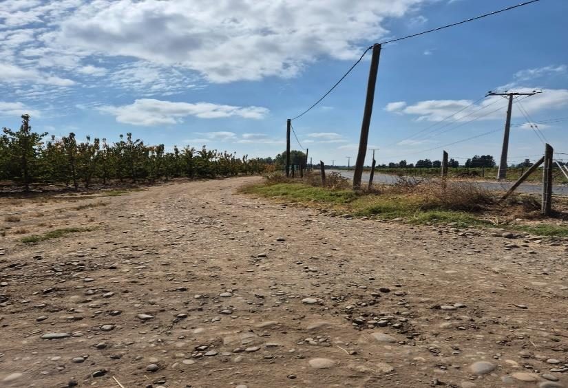 Campo en venta en Villa Alegre — foto 4