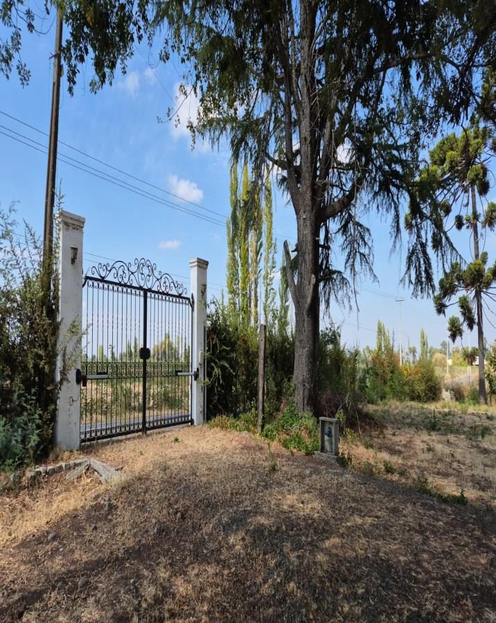 Campo en venta en Villa Alegre — foto 6